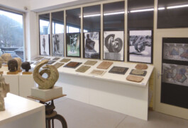 MUSEUM HOLTHAUS